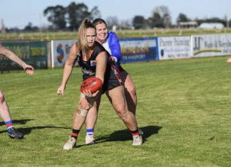 Wildcats make FFG finals in debut season