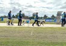 Kilmany greyhound track headed for VCAT