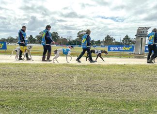 Kilmany greyhound track faces VCAT next month