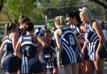 Lowe loyal to the Blues