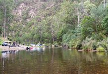 Twenty years of saving the Thomson