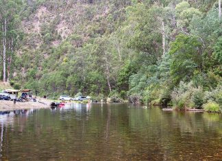 Twenty years of saving the Thomson