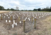 Council beat August: Meeting livestream goes down