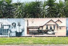 Capturing Newry in colour