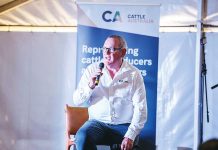 Independent inquiry needed for beef import rules