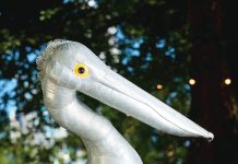 Gippsland work at sculpture show