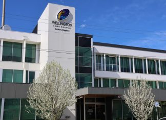 Council invites feedback on disability and inclusion plan