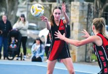 Netball: Bombers and Swans script final Battle of Avon