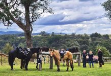 Mount Alfred ride this Sunday