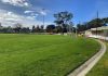 Around The Grounds