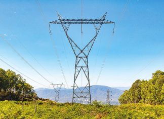 VicGrid puts renewable consultations on hold amid bushfires