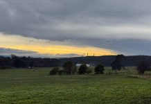 Erin Patterson doco premieres on Stan