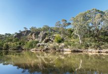 Celebrating rivers on World Water Day