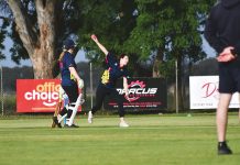 Two wins for Lizards, Pink in round 2 of women’s T20