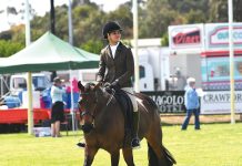 Maffra Show equestrian event results