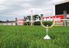 Sale Cup this Sunday