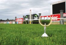 Sale Cup this Sunday