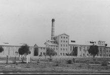 Maffra Show celebrates beet industry