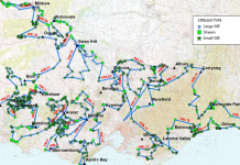 Duck abundance survey about to begin