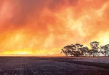 Fire Danger Period begins next week