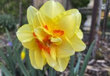 Reader Gallery, October 8 2025