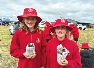 Funding for Heyfield PS