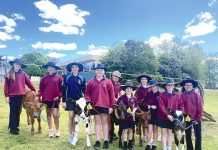 Boisdale students training for Maffra Show