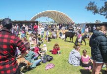 Can’t beat the Maffra Show for entertainment