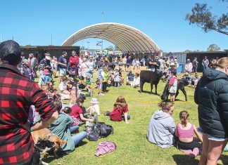 Can’t beat the Maffra Show for entertainment