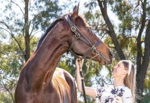 Country cup racing season begins