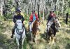 Tambo Upper Trail Riding Club to head to Briagolong