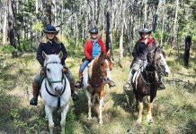 Tambo Upper Trail Riding Club to head to Briagolong