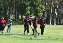 Nine teams in women’s T20: SMCA