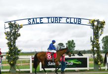 Christmas racing this Sunday