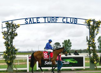 Christmas racing this Sunday