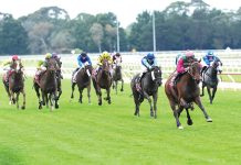 El Rocko’s a raining champion of Sale Cup