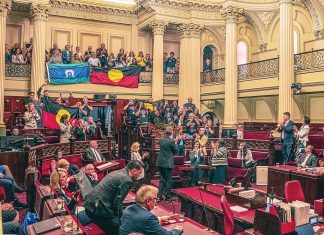 Treaty passes through Victorian parliament