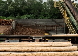 Yarram’s AKD Sawmill to close immediately