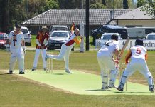 Veterans cricket is good