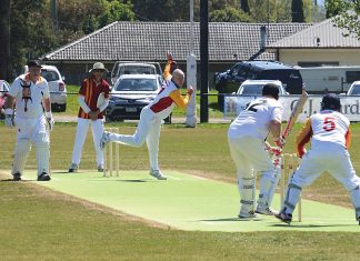 Veterans cricket is good