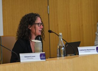 Council beat, November 18