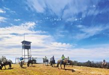 Tambo Upper Trailing Riding Club will ride this Sunday
