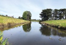 Landcare grant recipients announced