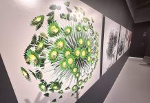 Summer season opens at Gippsland Art Gallery