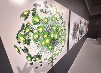 Summer season opens at Gippsland Art Gallery