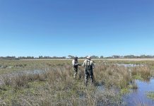 Gippsland Lakes water data direct to your device