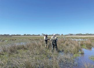 Gippsland Lakes water data direct to your device