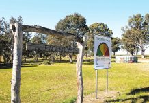 Fingerboards test pit to proceed