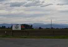 Dicky Bill Australia’s immediate closure leaves 182 unemployed