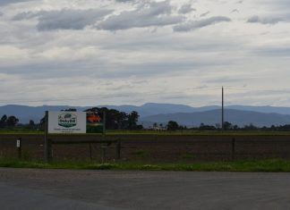 Dicky Bill Australia’s immediate closure leaves 182 unemployed